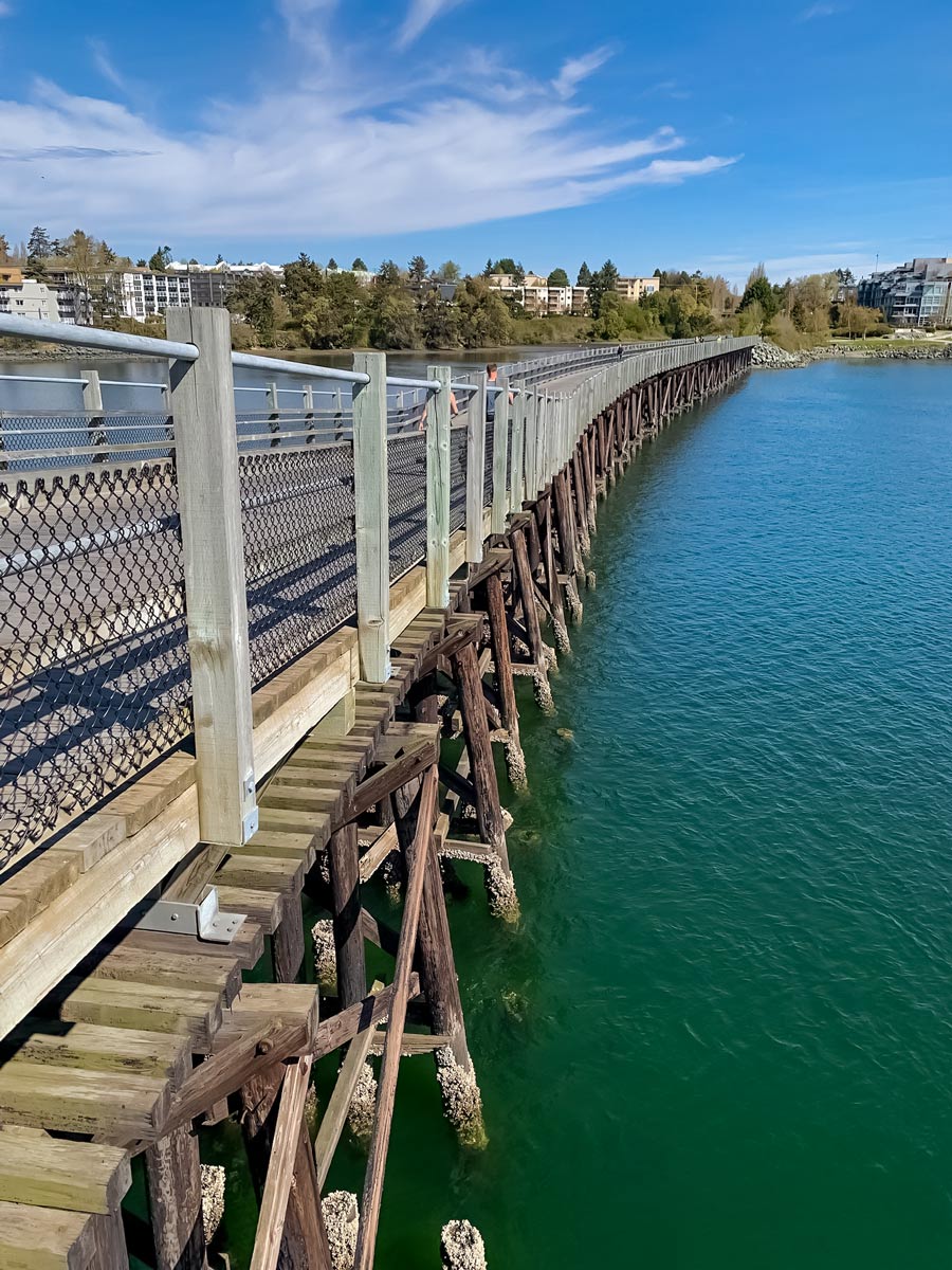 Biking along piers over green blue ocean on Seaside Loop near Victoria