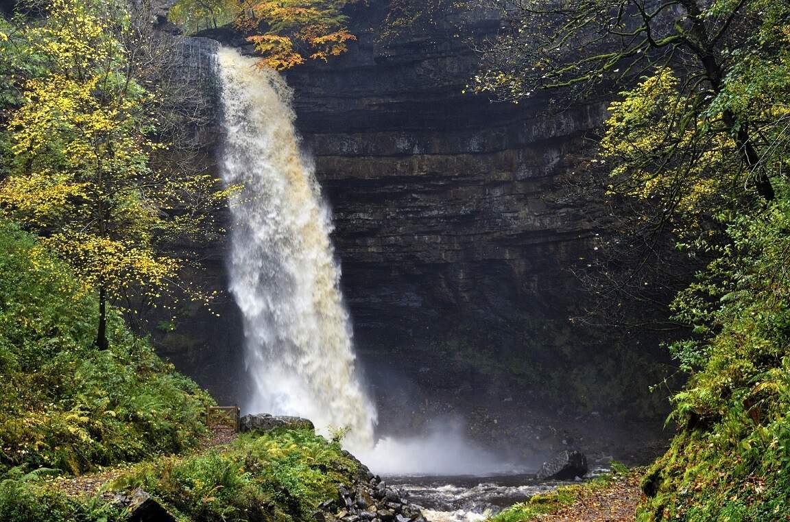 Hardraw Force