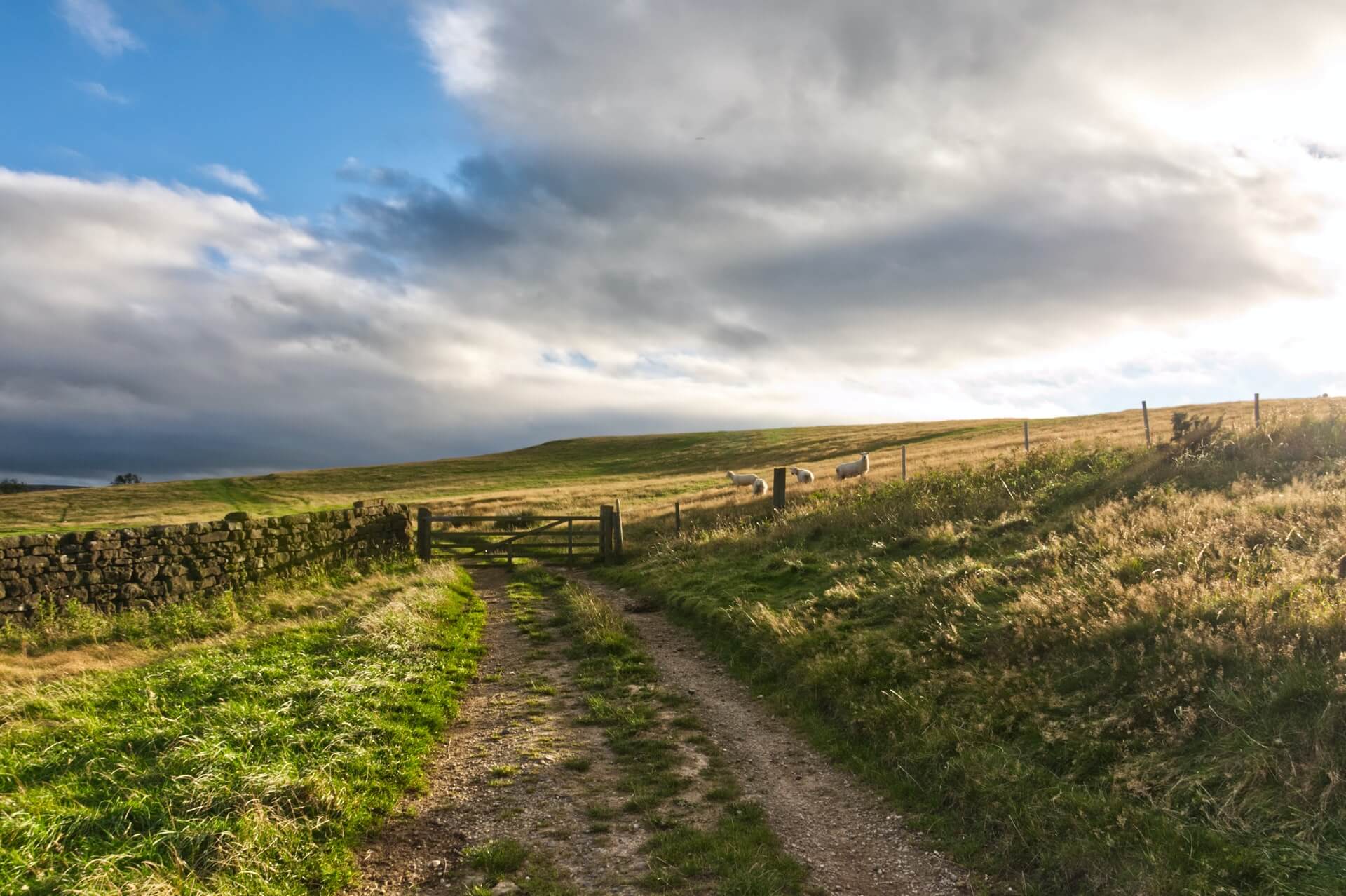 The beautiful North York Moors