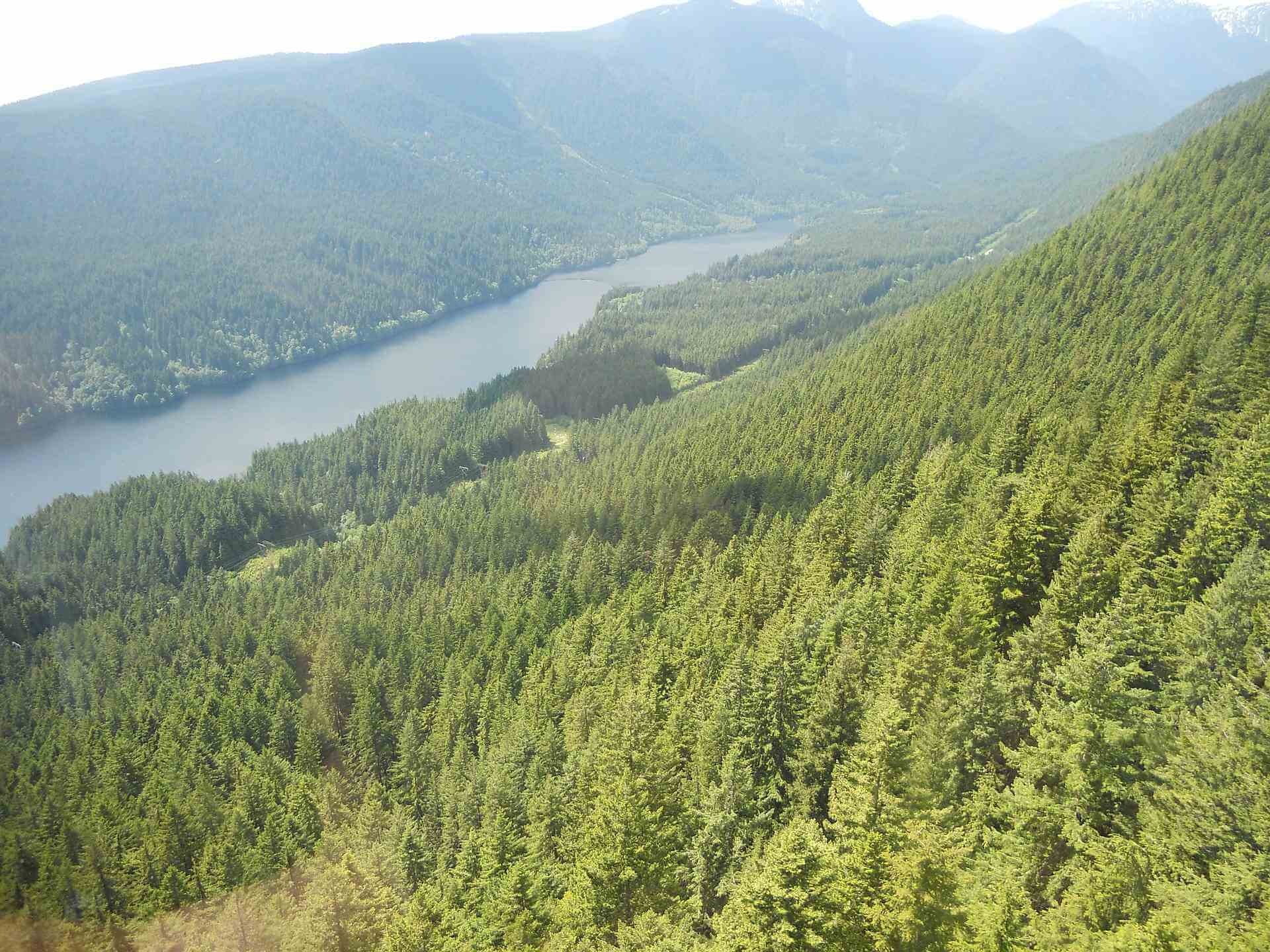 Grouse Grind Trail