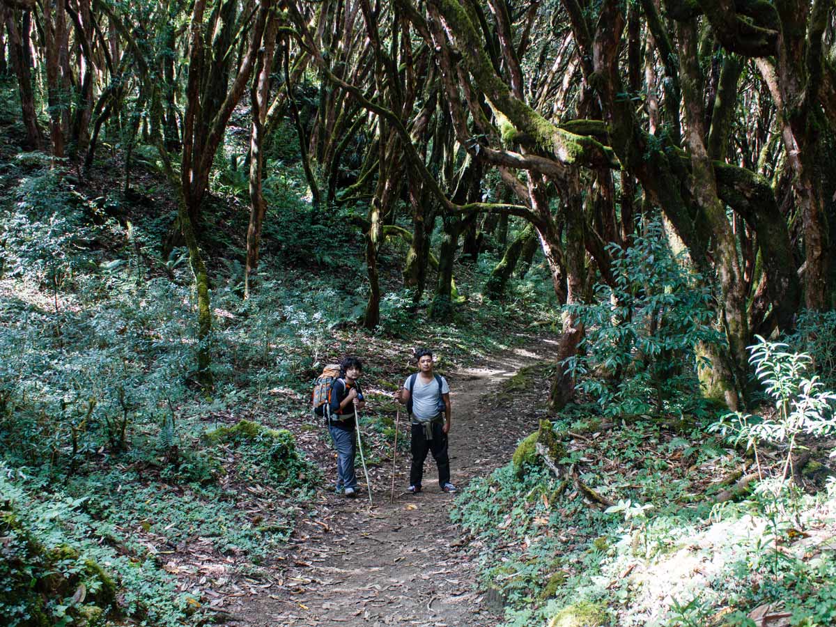 Two hikers on Poon Hill Trek