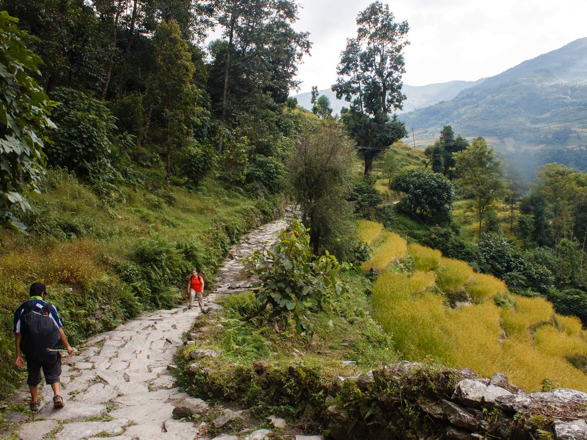 Rocky path (Poon Hill Trek)