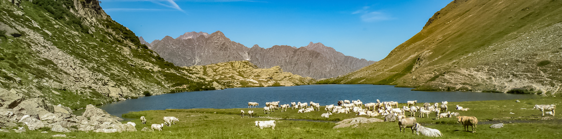 Lake in Alpi Marittime