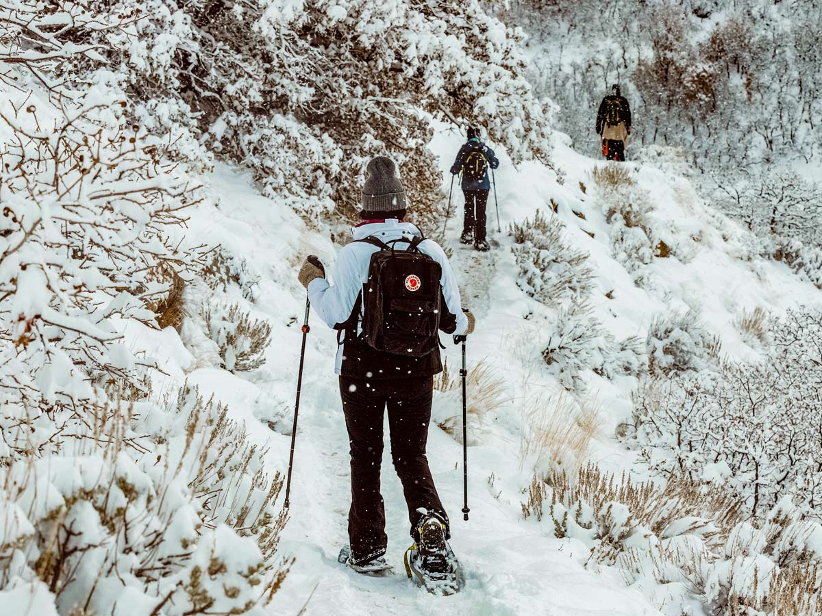 Group of hikers snowshoeing