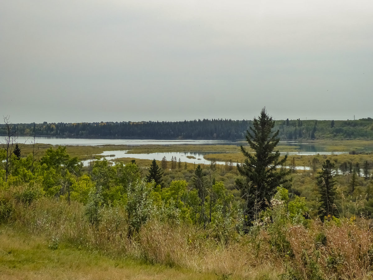 Weaselhead Flats marshland and hiking trails in Calgary