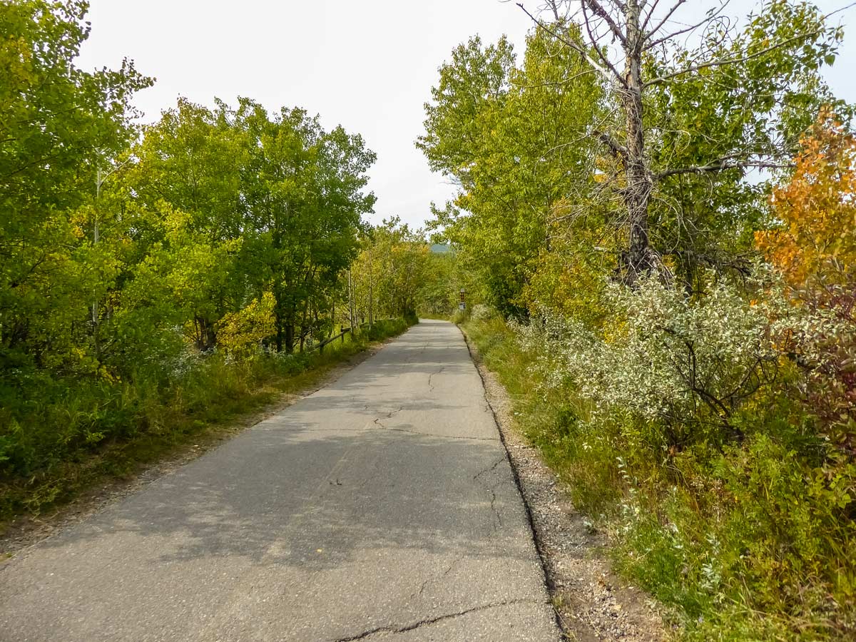 Paved hiking biking paths around Weaselhead Flats in Calgary