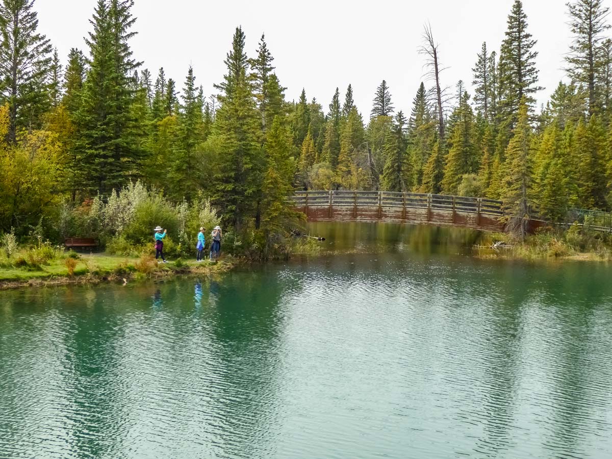 Hikers take photos along Weaselhead Flats hiking trail in Calgary