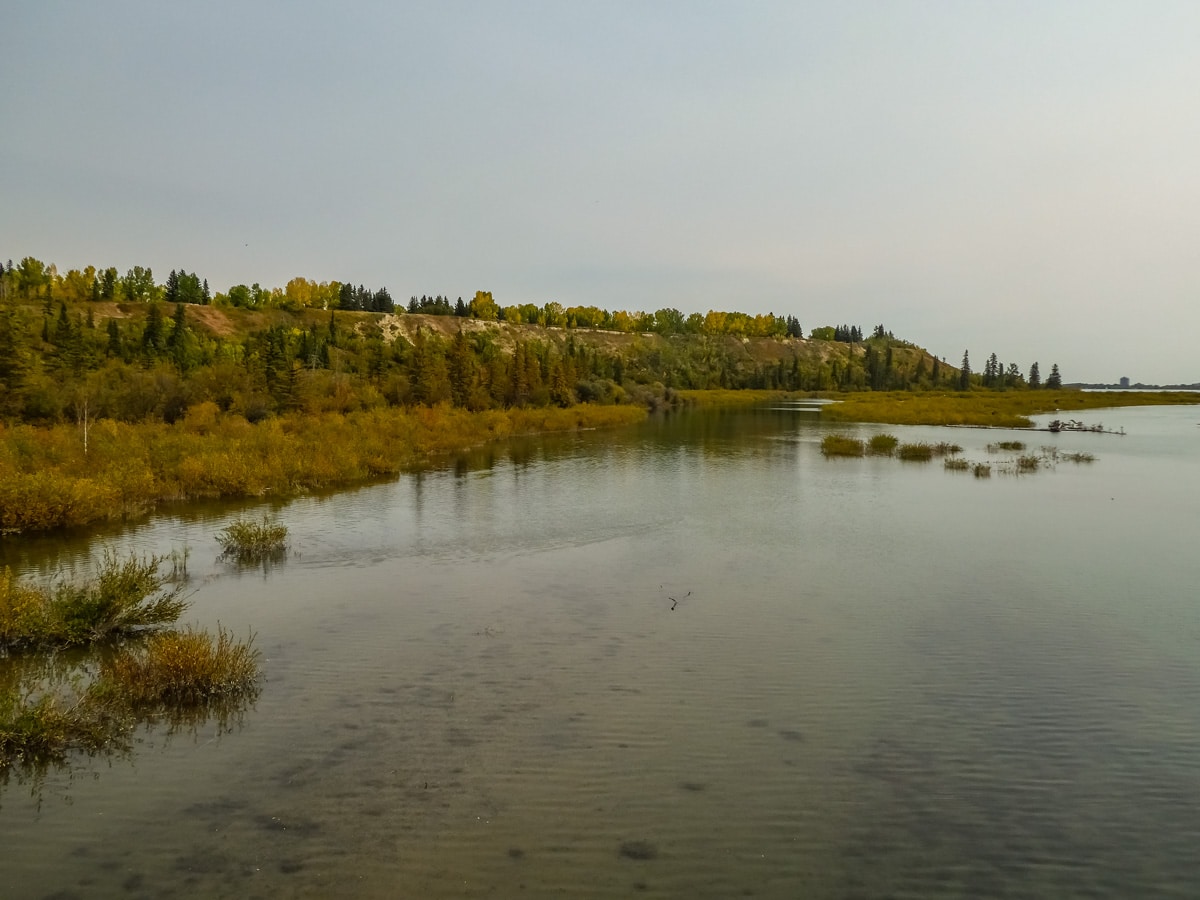 Weaselhead Flats pond marsh hiking trail in Calgary