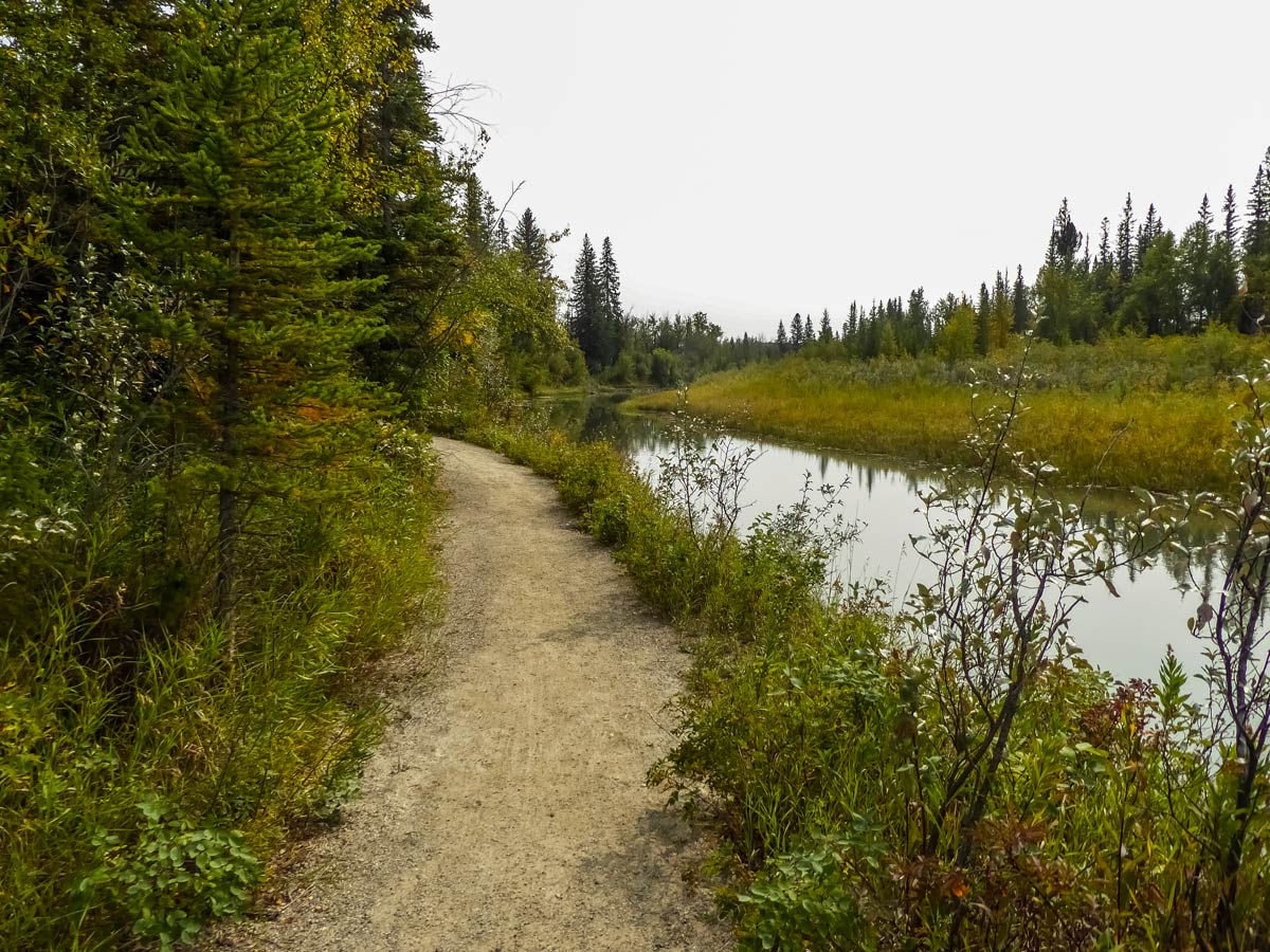 Riverside trail Weaselhead Flats hiking in Calgary