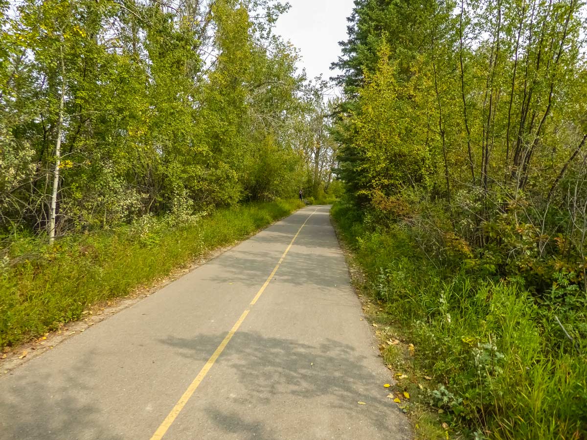Paved walking biking path in Weaselhead Flats area hiking in Calgary