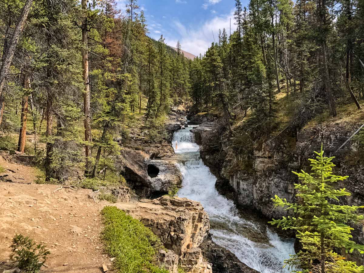 Tiered waterfalls of Beauty Creek hiking trail Jasper Alberta Canada
