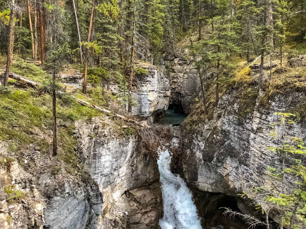 Rock canyon carved by Beauty Creek hiking trail Jasper Alberta Canada