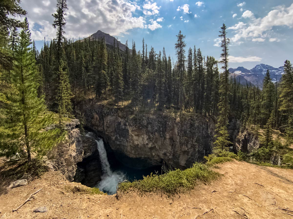 Beauty Creek gorge canyon waterfalls hiking trail Jasper Alberta Canada