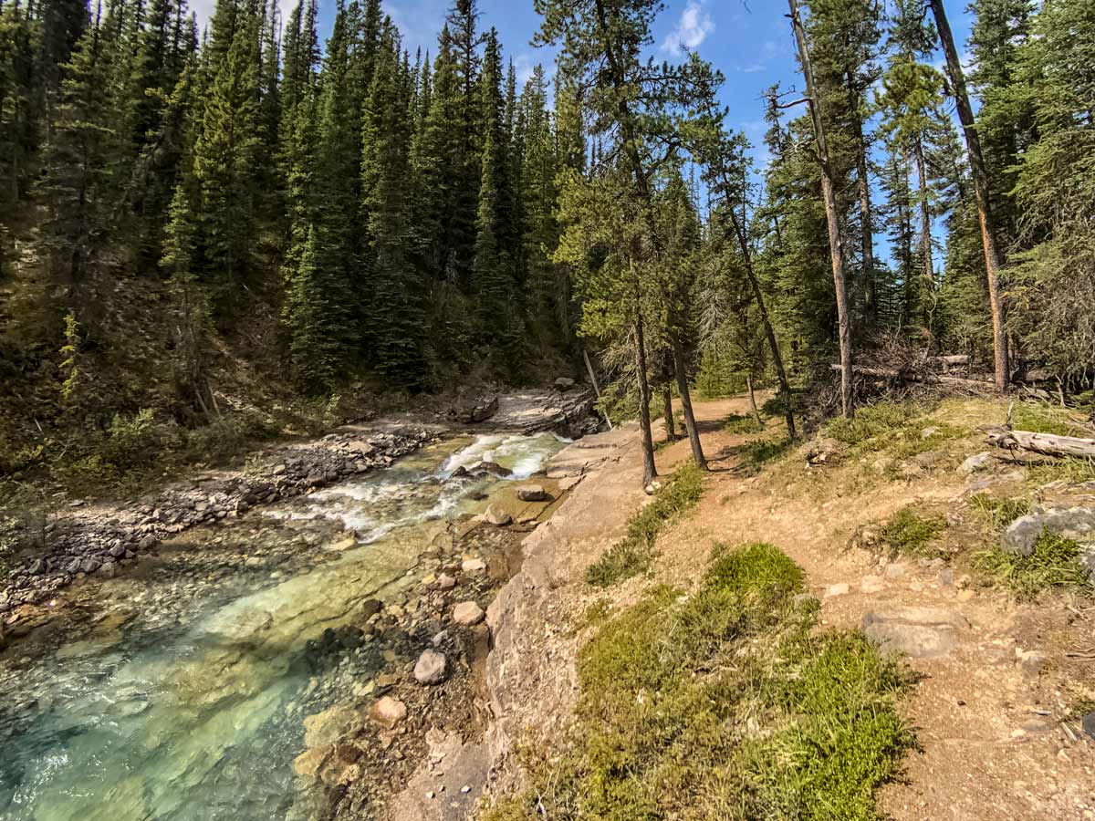 Beauty Creek trail Jasper National Park Alberta Canada