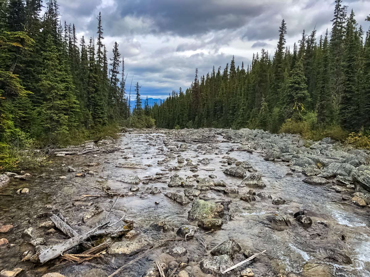 River feeding into Cavell Lake in beautiful Jasper National Park forest