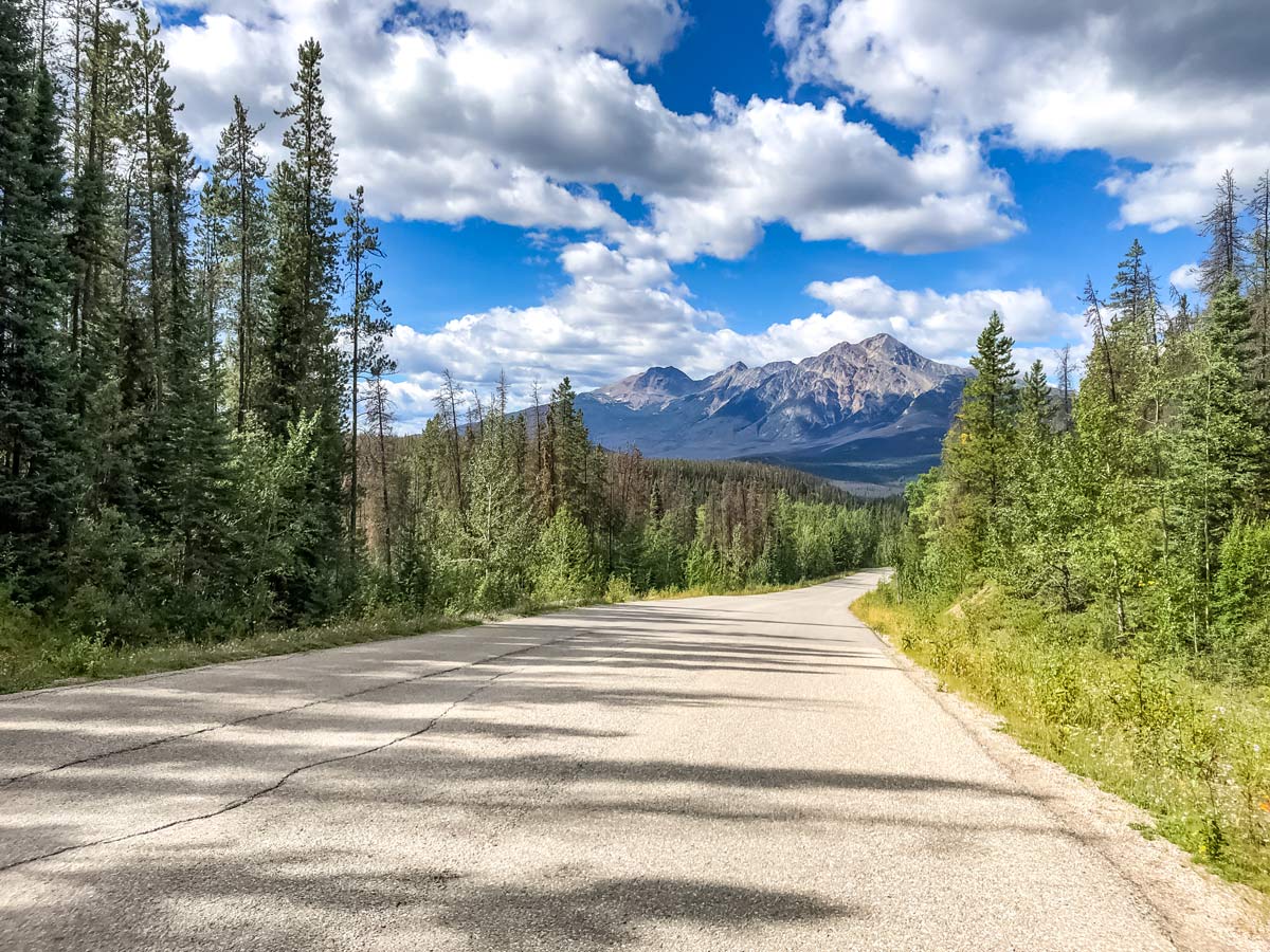 Road to Maligne Lake through the beautiful Canadian Rockies forest near Jasper