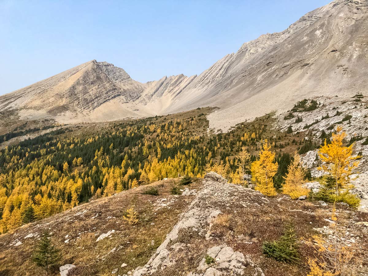 Rock layers seen hiking Arethusa Cirque Kananaskis alberta rocky mountains