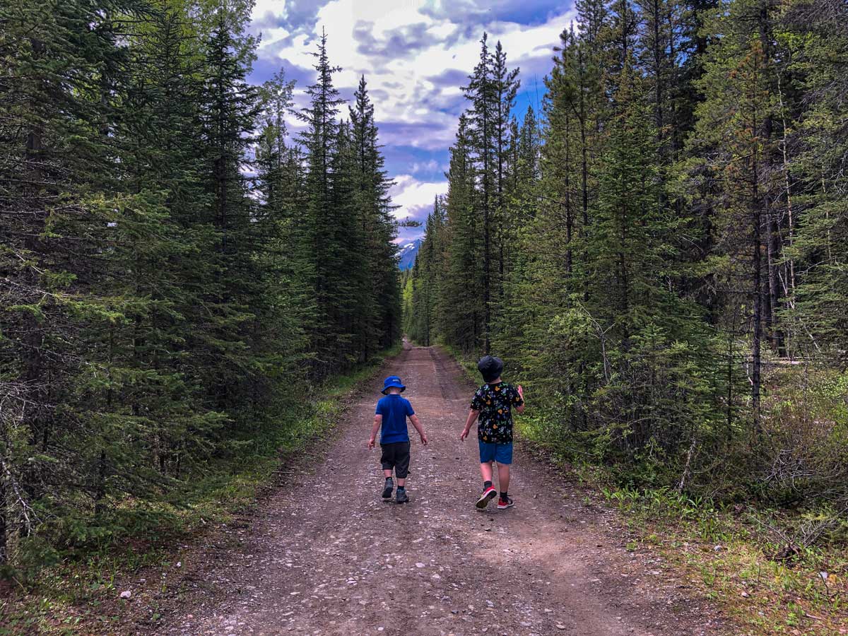 Brothers strolling down Big Elbow hiking walking trails in Kananaskis Alberta