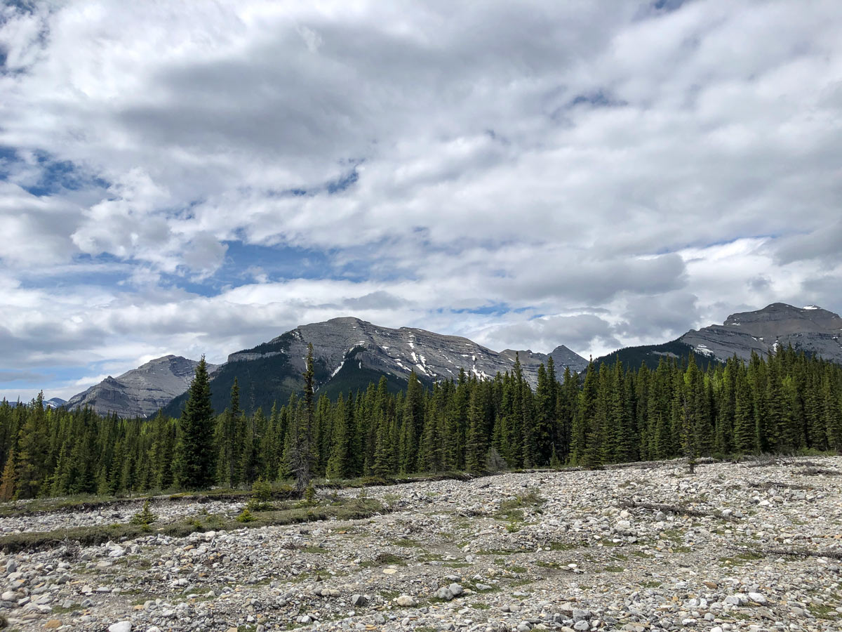 Canadian rocky moutnains Big Elbow hiking walking trails in Kananaskis Alberta