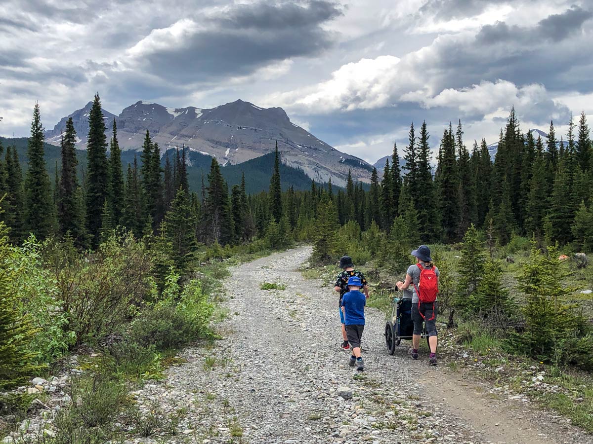 Family hike Big Elbow hiking walking trails in Kananaskis Alberta