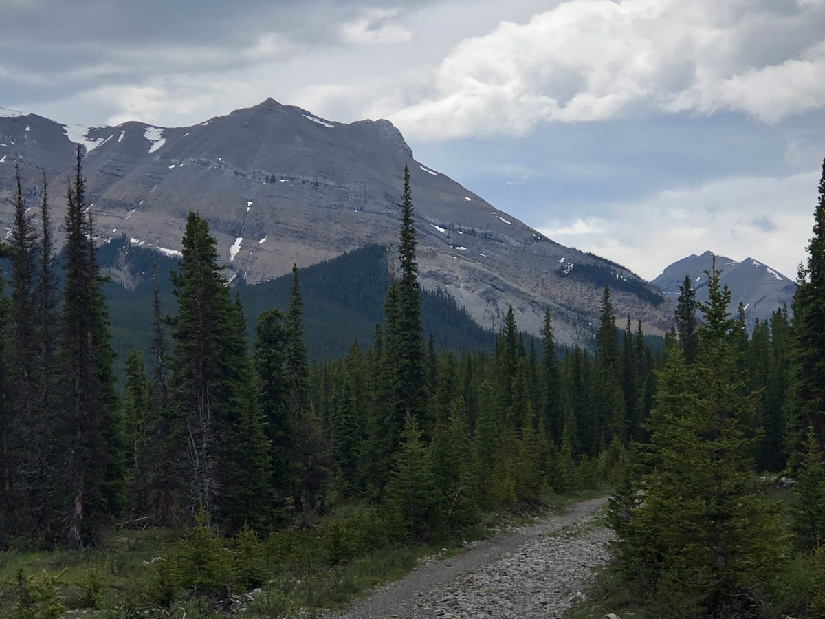 Big Elbow hiking walking trails cloudy afternoon in Kananaskis Alberta Canada