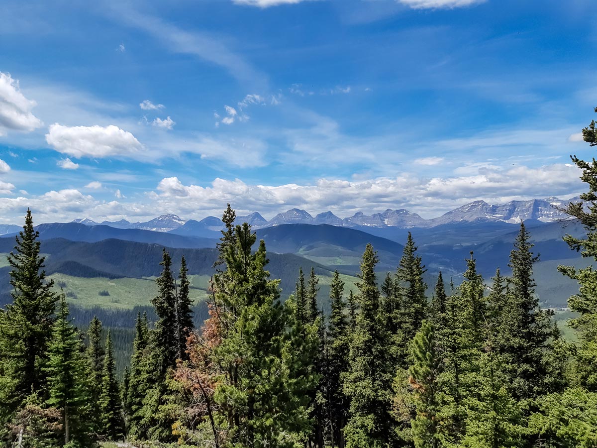 View from Mt Burke hiking in Kananaskis