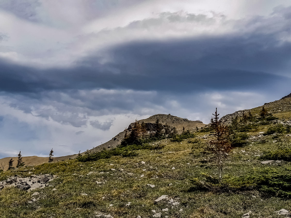 Beautiful Mt Burke summit in Kananaskis