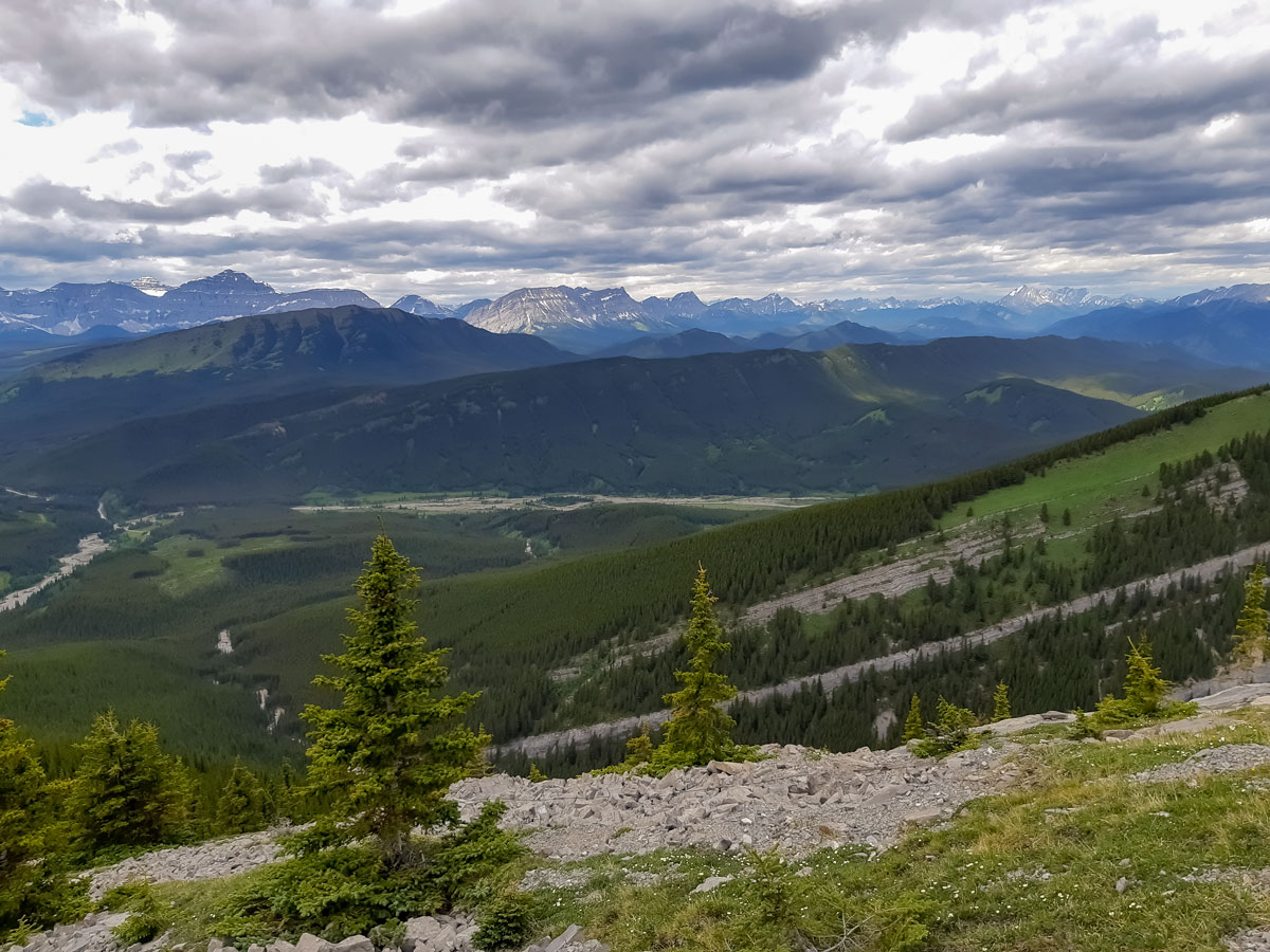 Kananaskis forest below hiking trail up Mt Burke