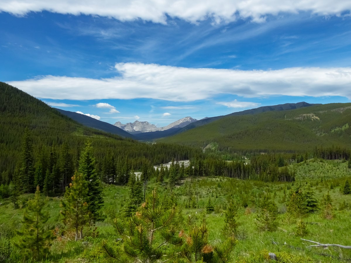 Hiking through Kananaskis forest along trail to Mt Burke Alberta