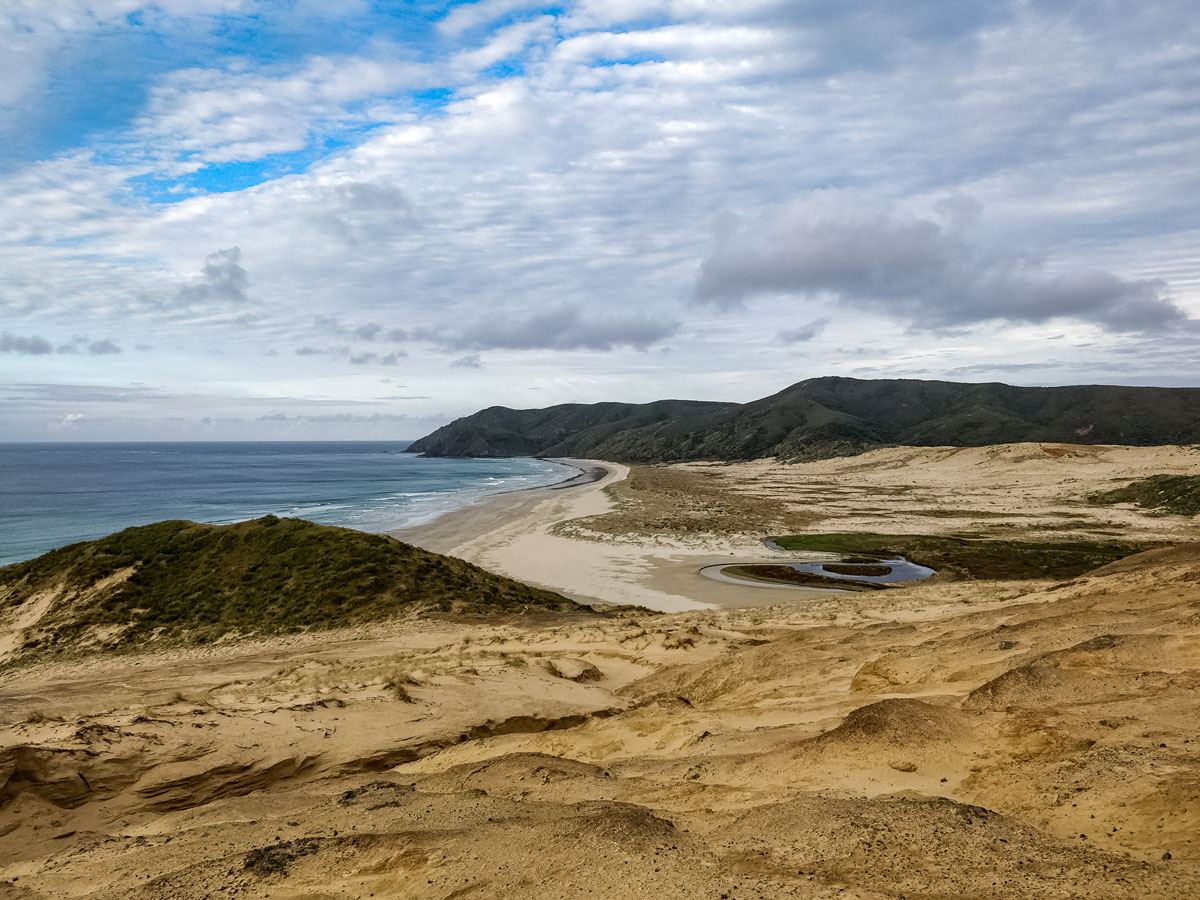 New Zealand shoreline mountians sand landscape along Te Araroa trail