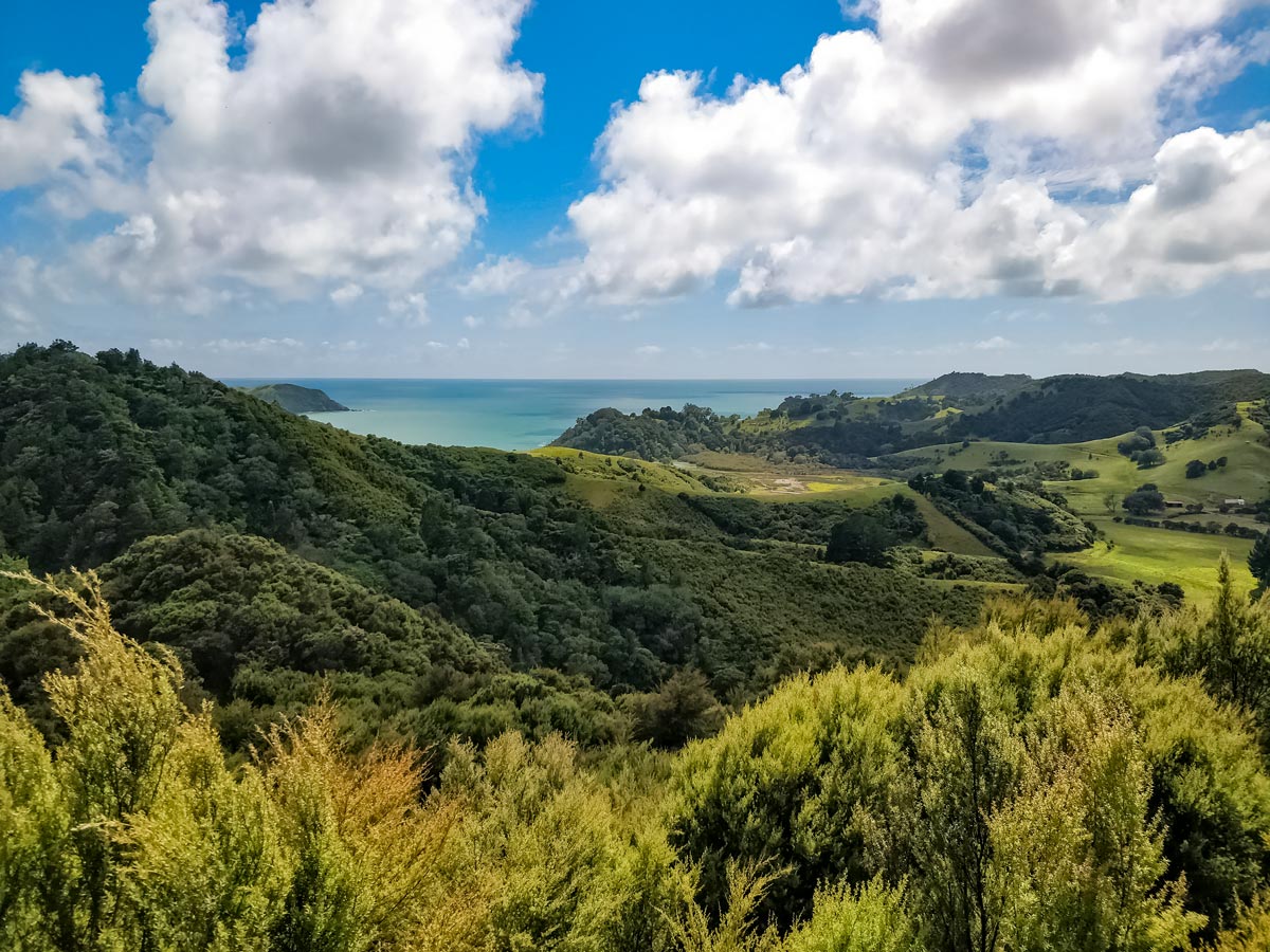 Turquoise ocean shores seen hiking Te Araroa trail trek in New Zealand