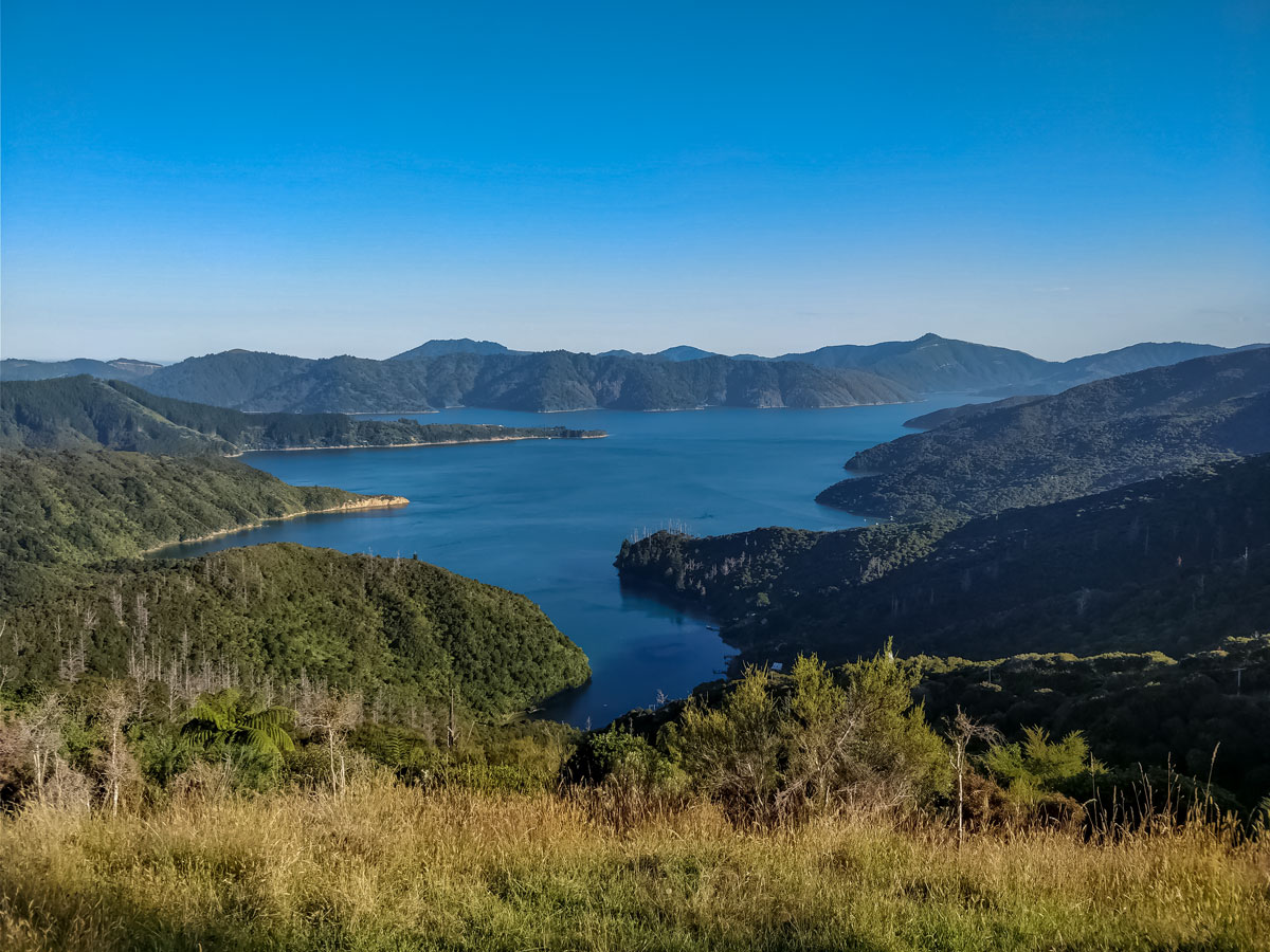 Beautiful New Zealand bay coastline through the valley seen hiking Te Araroa trail trek