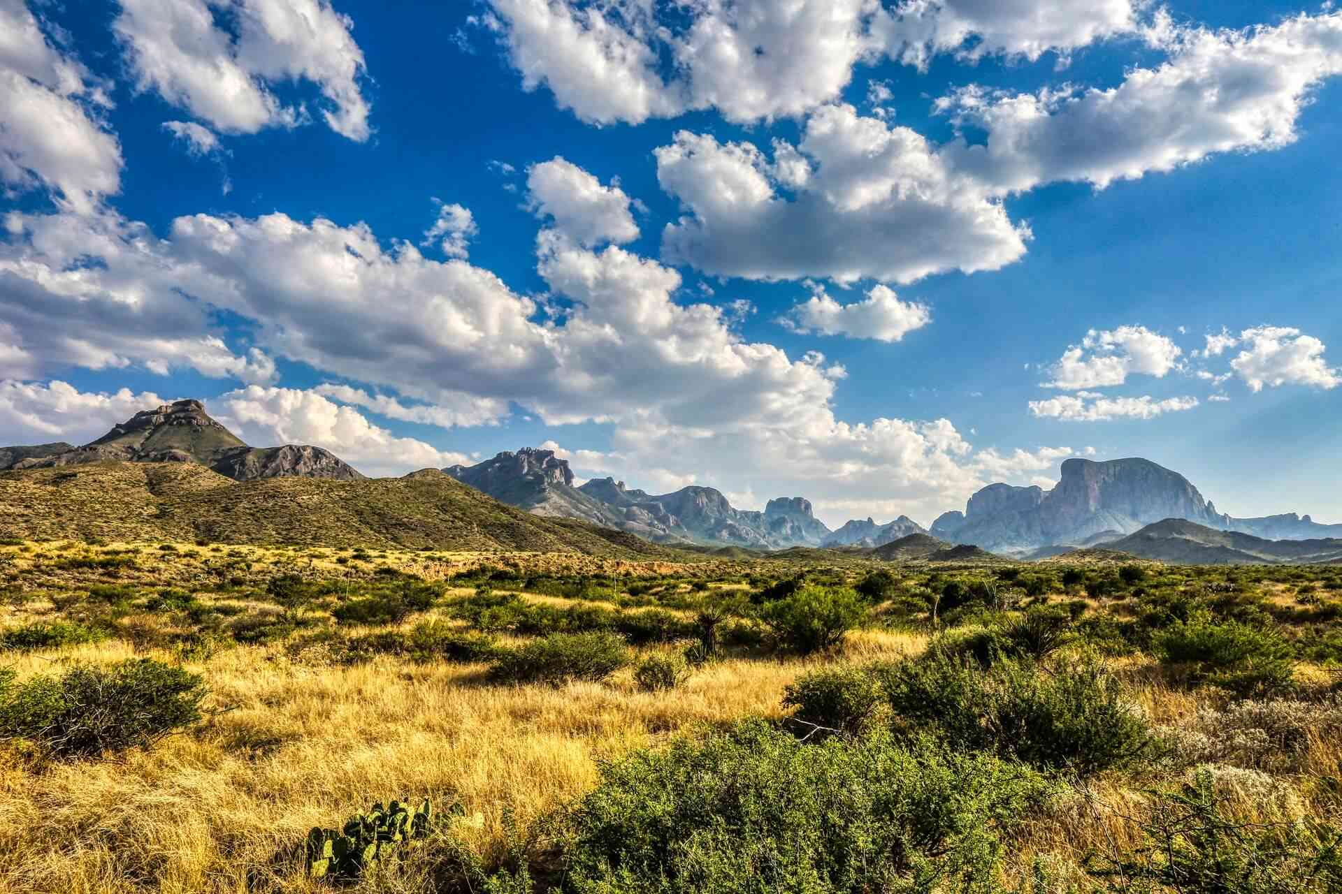 A beautiful landscape of the Big Bend National Park