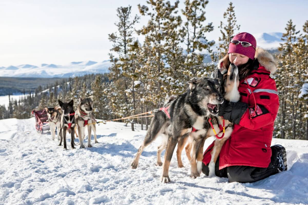 Dog sledding experiences