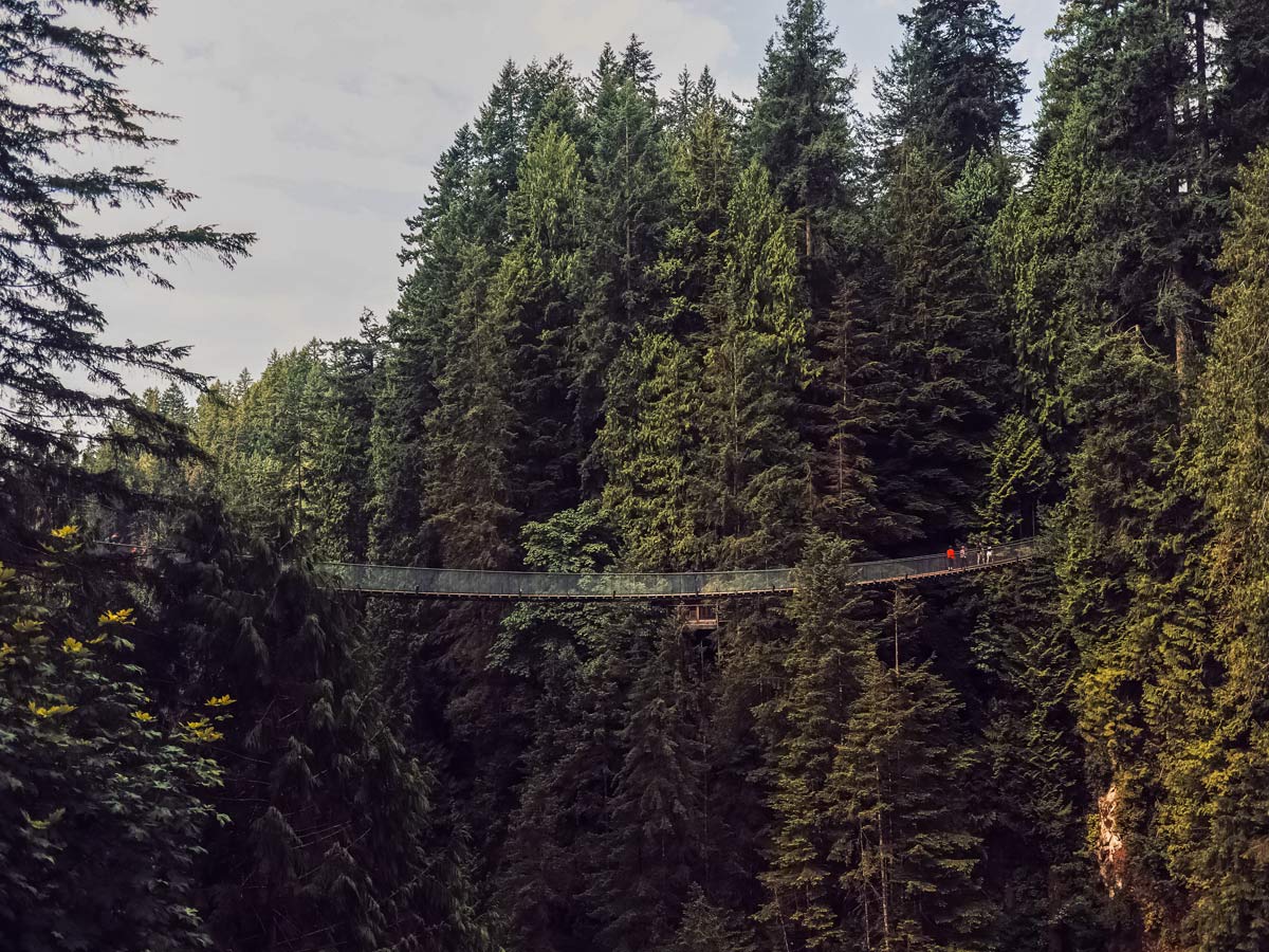 Capilano suspension bridge