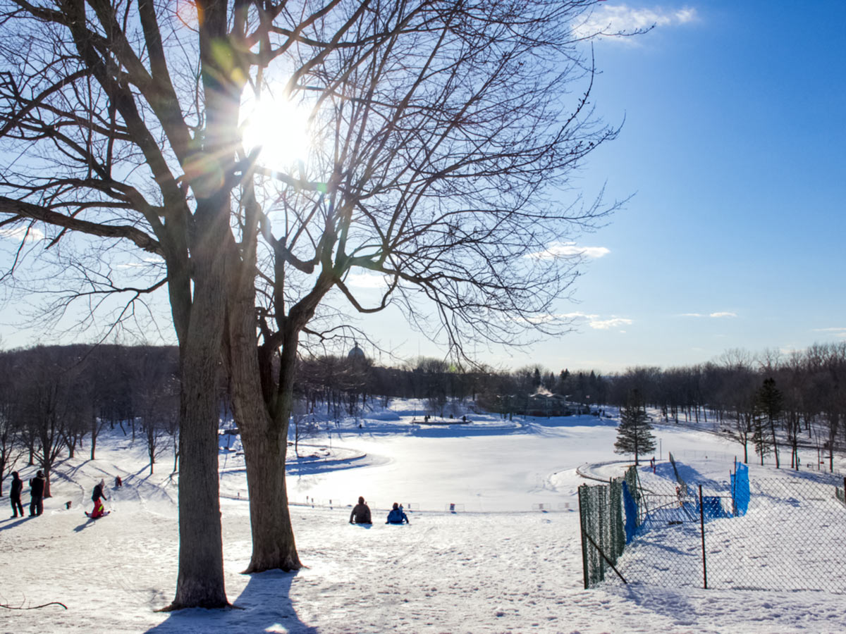 Outdoor ice skating rink sledding in the park in winter Montreal Canada