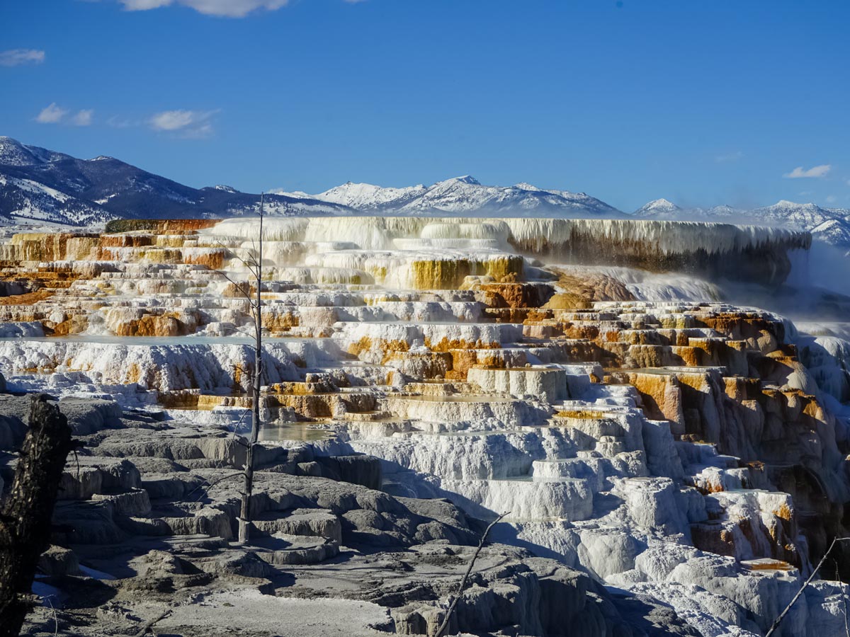 Cascading frozen pools hotsprings waters Yellowstone National Park winter