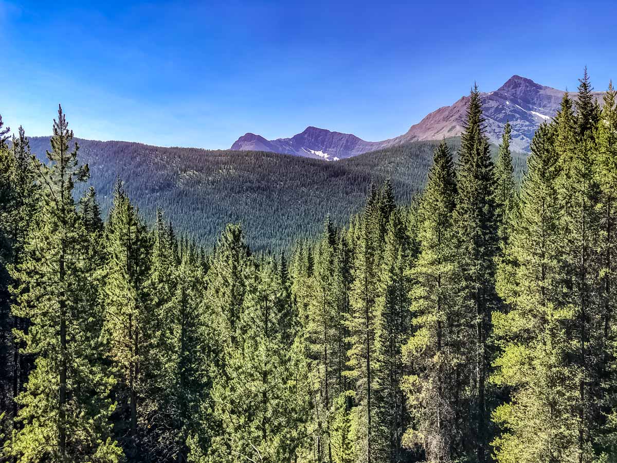 View of Rocky Mountains from Blakiston Suspension Bridge in Kananaskis Alberta Canada