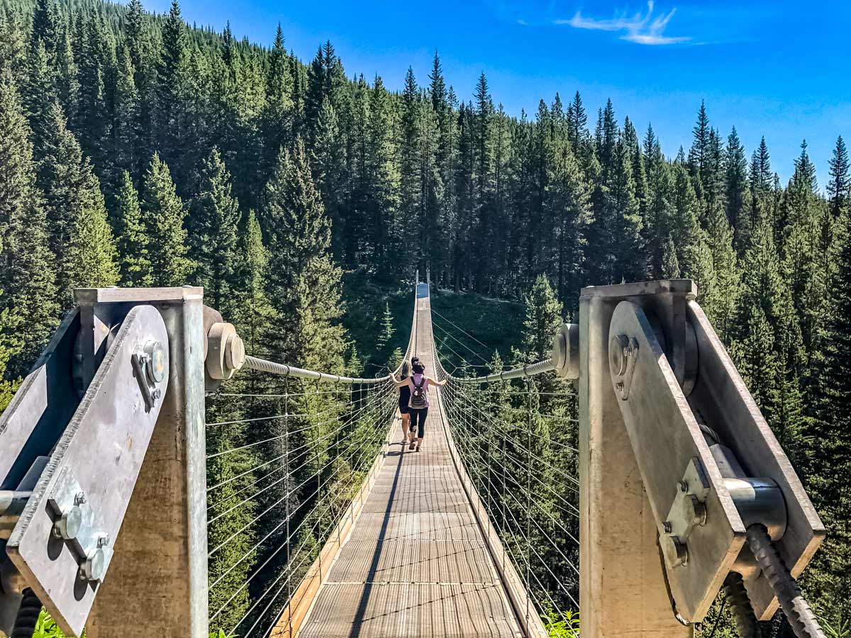 Hikers crossing Blakiston Suspension Bridge over forest canyon in Kananaskis Alberta Canada
