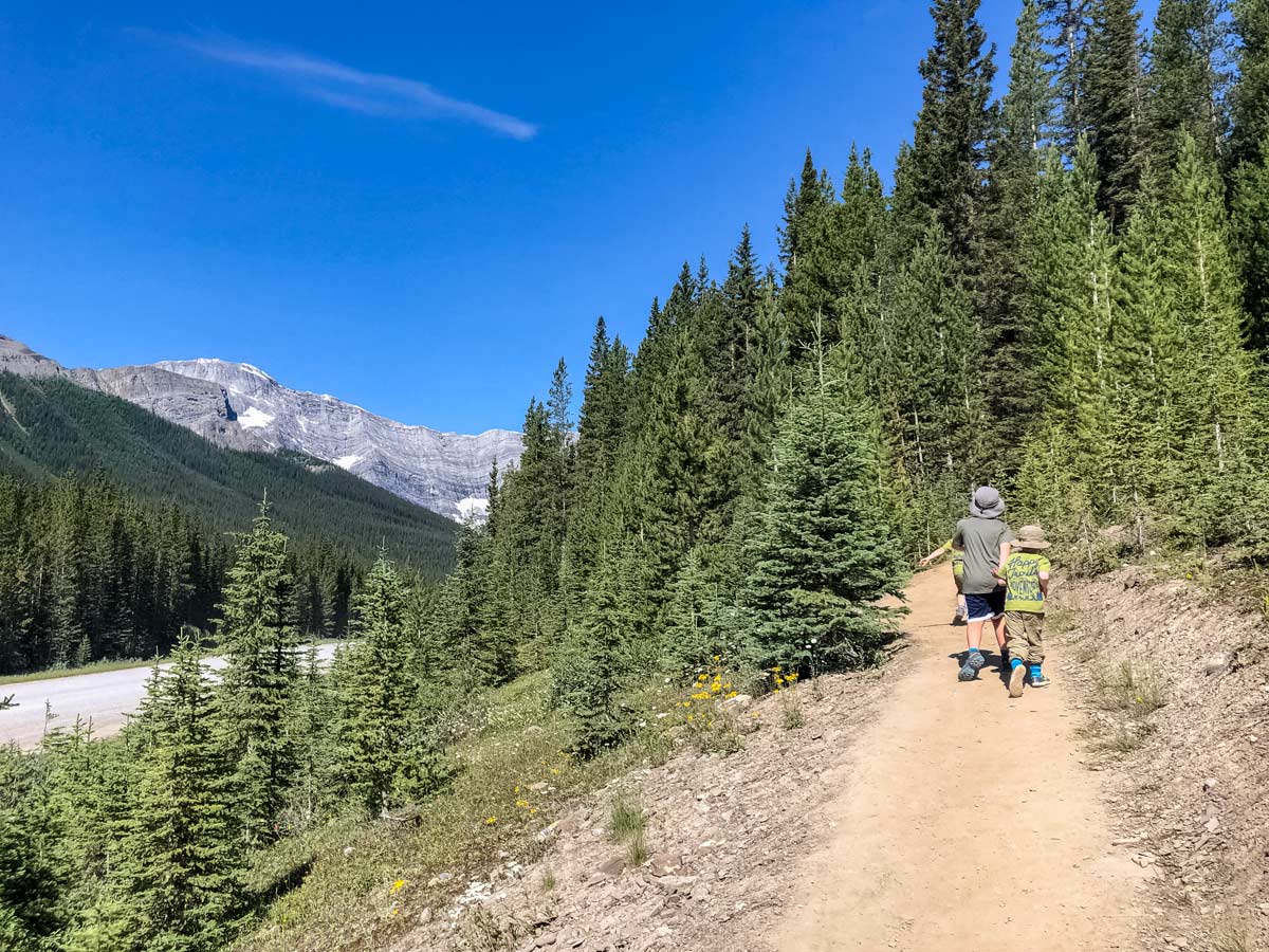 Kids family hiking to Blakiston Suspension Bridge in Kananaskis Alberta Canada