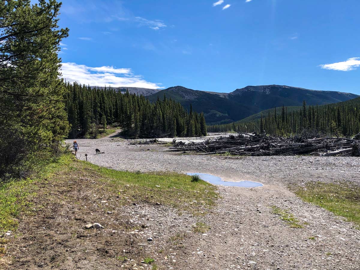 Hiker and dog hiking Little Elbow trail Kananaskis Alberta Canada