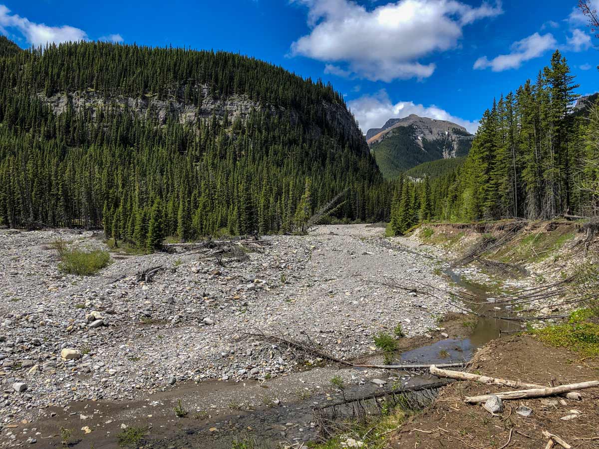 Beautiful Kananaskis forest Little Elbow trail hike Alberta Canada