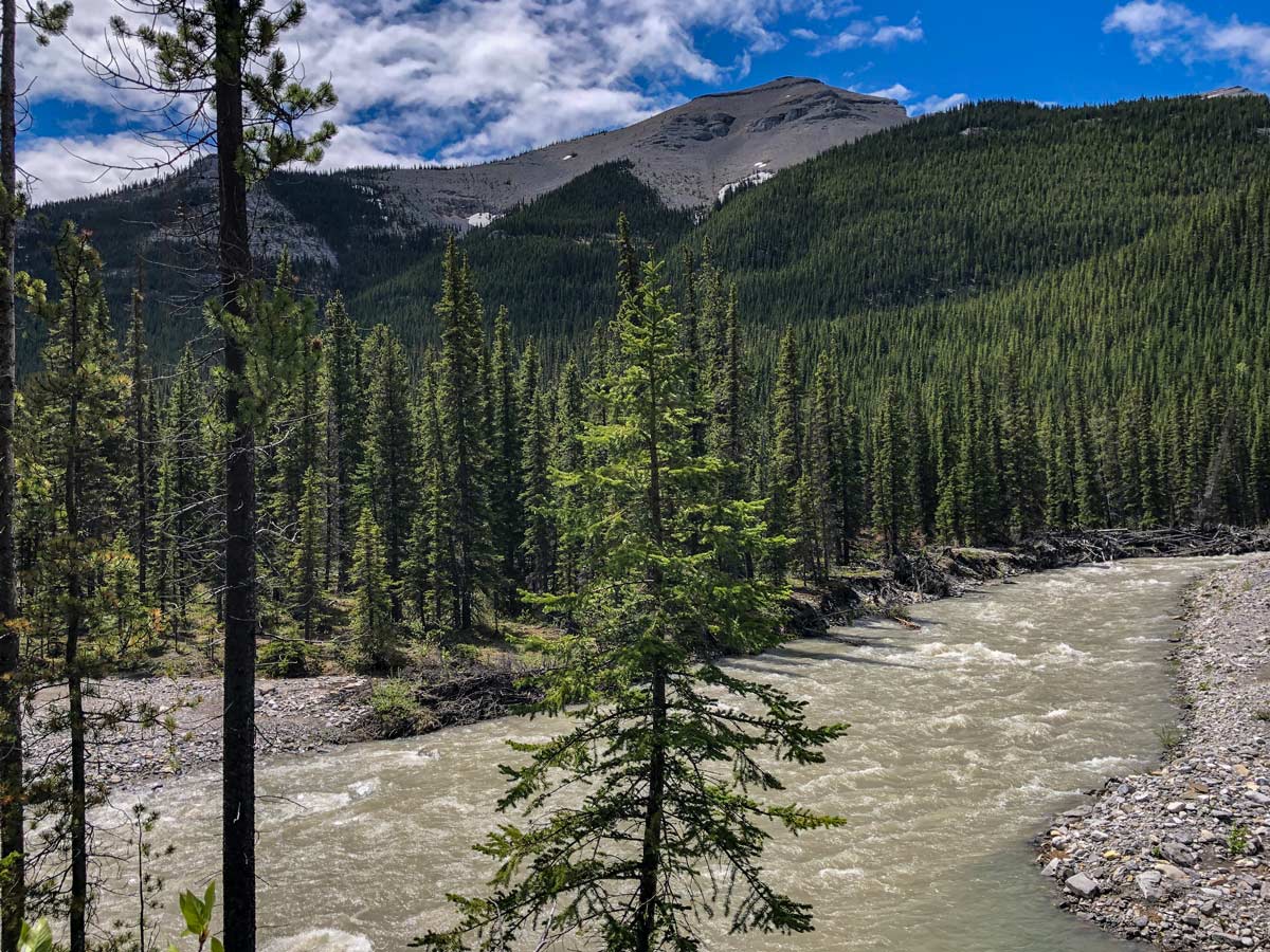 Little Elbow riverside hiking trail hike Kananaskis Alberta Canada