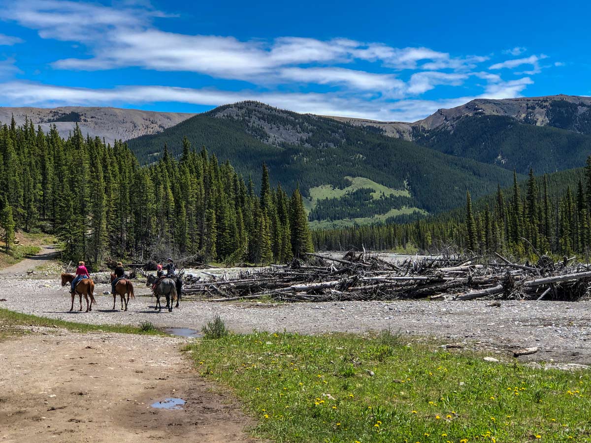 Horseback riders on Little Elbow hiking trail Kananaskis Alberta Canada