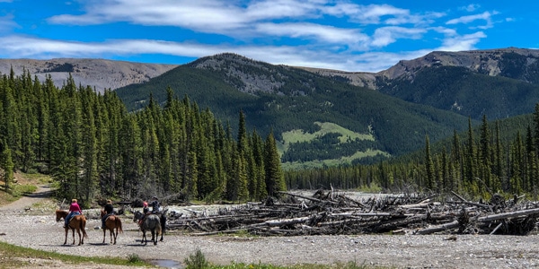 Little Elbow Trail