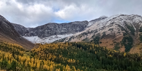 Pocaterra Cirque