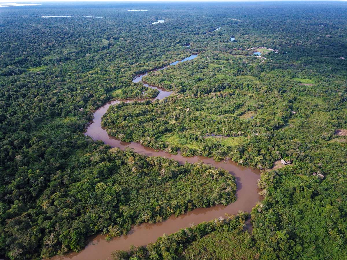 Amazon river aerial meandering birding expedition Amazon Peru