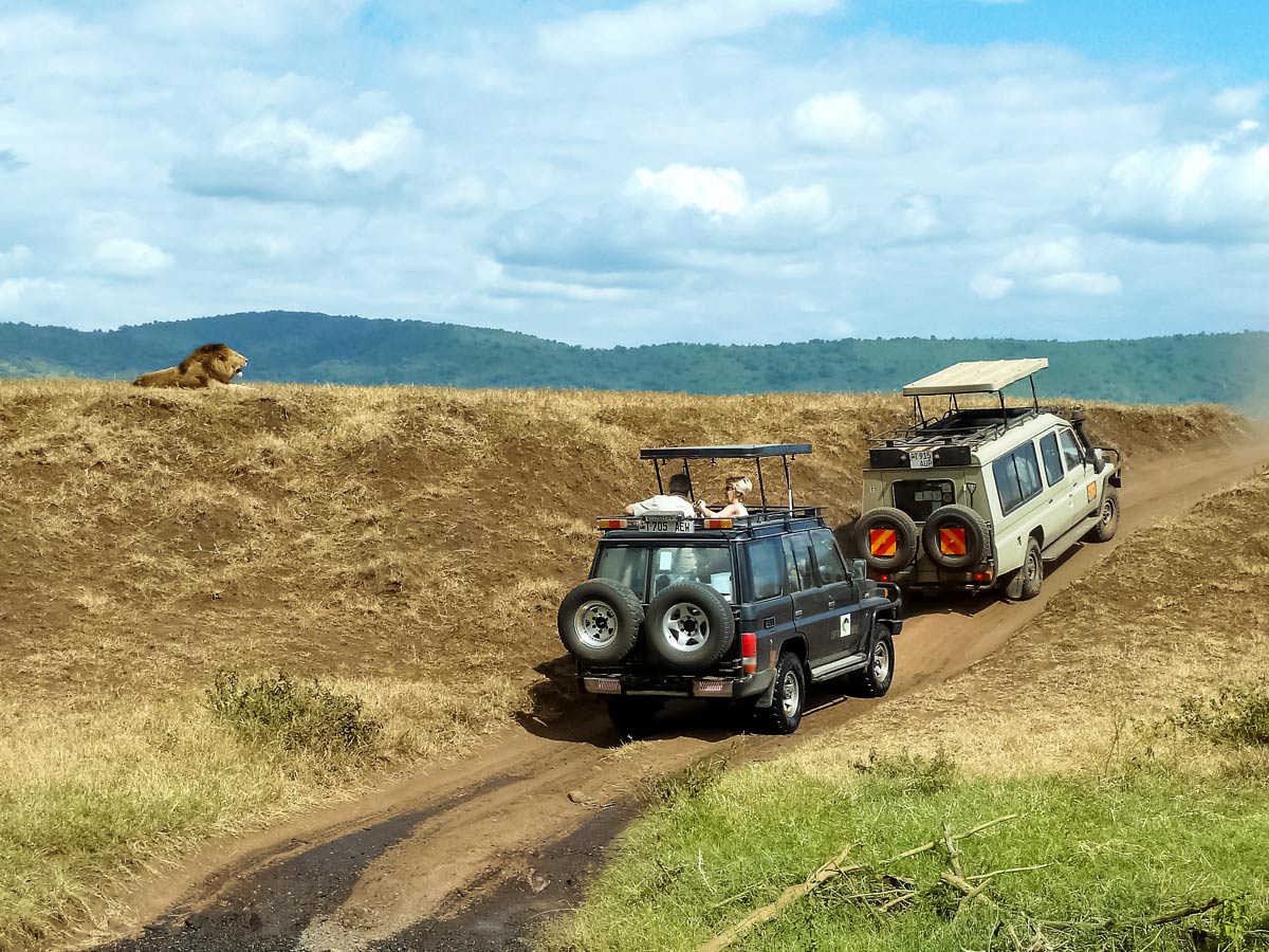 Safari tour