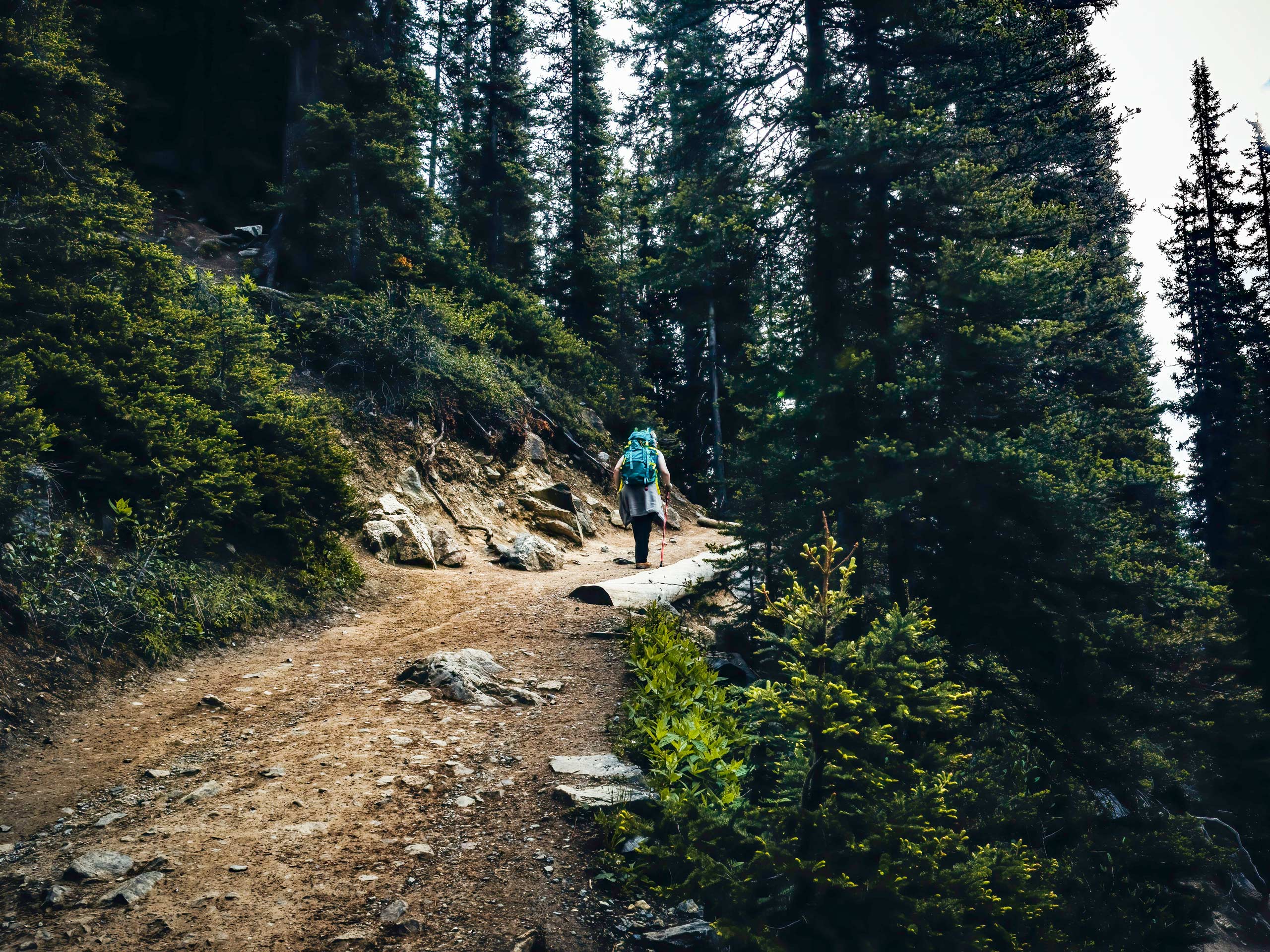 Hiker climbing Mirror Lake Trail hiking Banff National Park