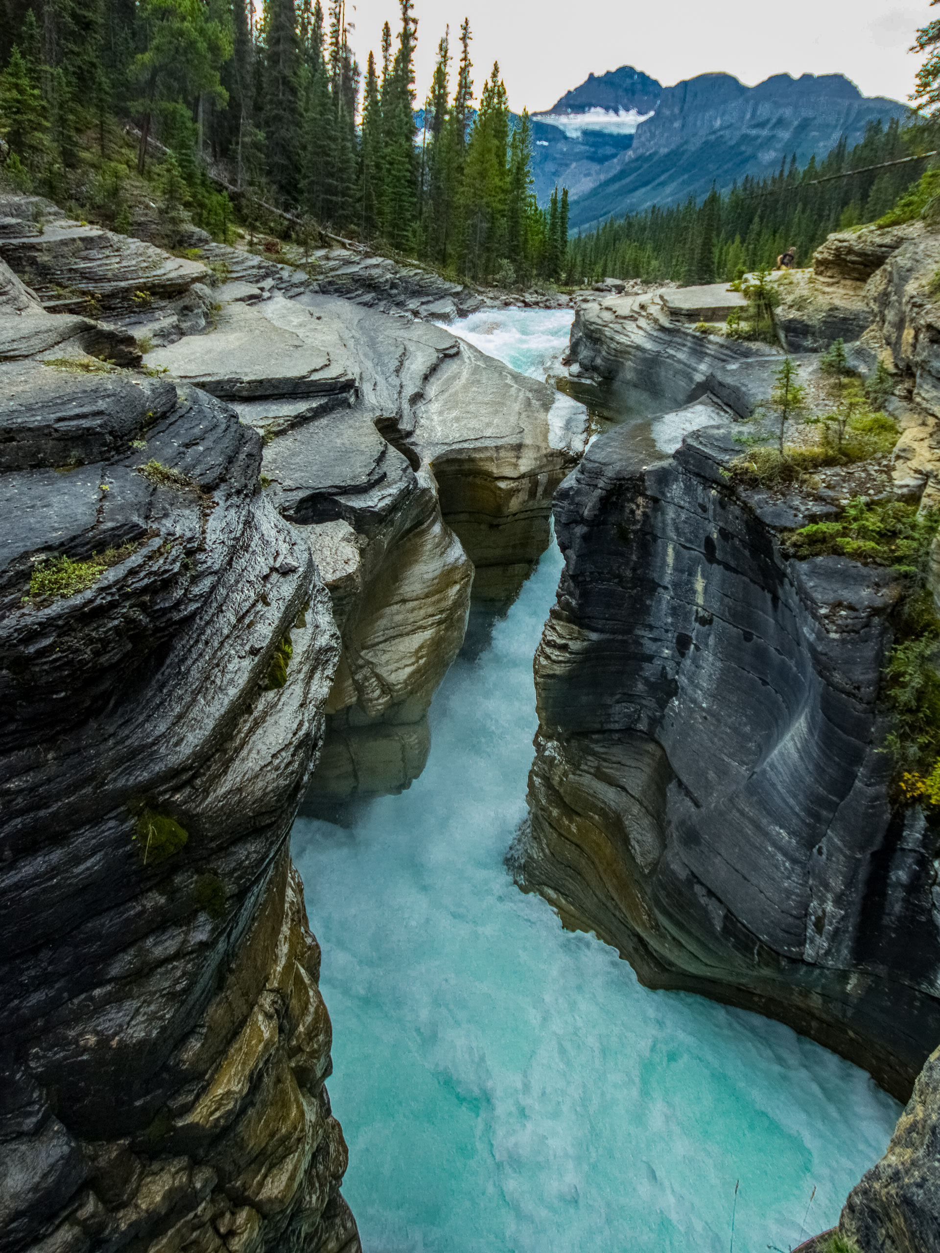 Mistaya Canyon hiking trail gorge Banff National